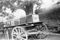 Beehives, Cooper farm